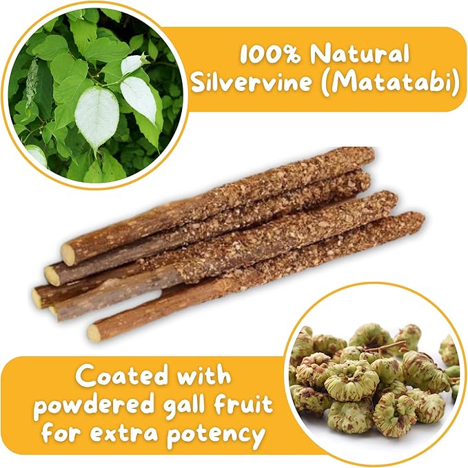 Hide & Scratch Premium Silvervine Sticks for Cats with Gall Fruit Powder for Extra Potency; Cat Enrichment Cat Chew Toy and Dental Sticks - More Effective Than Catnip Toys! (12 ct)