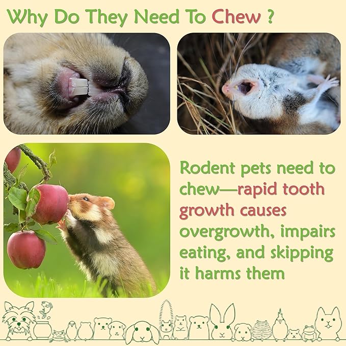 Premium Natural Apple Sticks - 250g/8.82 OZ Molar Chew Treats for Rabbits Chinchillas Guinea Pigs Hamsters Small Animals