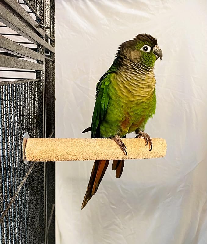 Polly's Pastels Nail Trimming & Beak Conditioning Safety Perch for Cockatiels, Cockatoos, Macaws, Parakeets, Budgies, Parrots and All Other Birds (Coral, Small-1" Dia. x 6" Long)