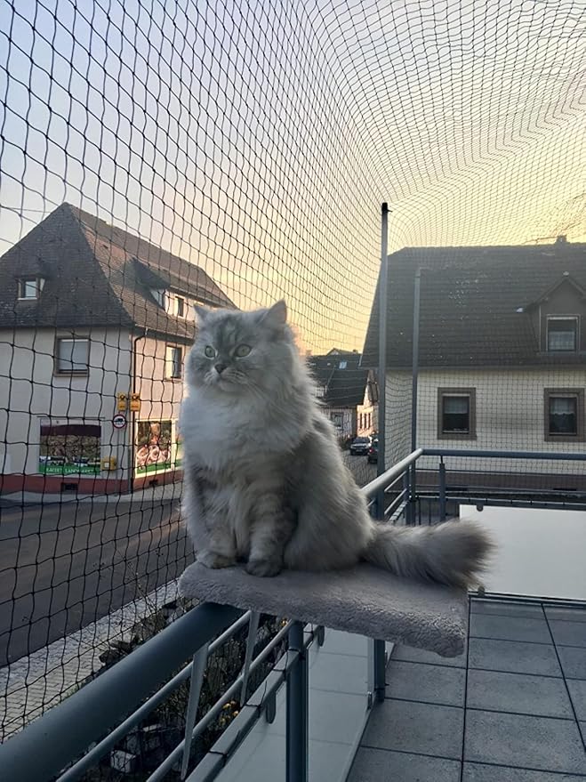 Cat Netting Balcony 10 * 13ft Pet Mesh Fence for Balcony Black Nylon Balcony Netting for Pets Anti-Fall Cat Net for Balcony and Windows