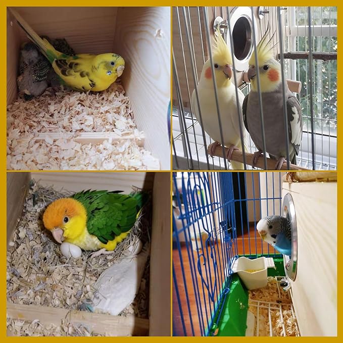 kathson Cockatiel Nesting Box,Wood Parakeet Nest House,Parrots Breeding Mating Boxes,Bird Nesting Box for Budgie,Conure,Lovebirds,Canary,Finch,Small and Medium-Sized Birds (L)
