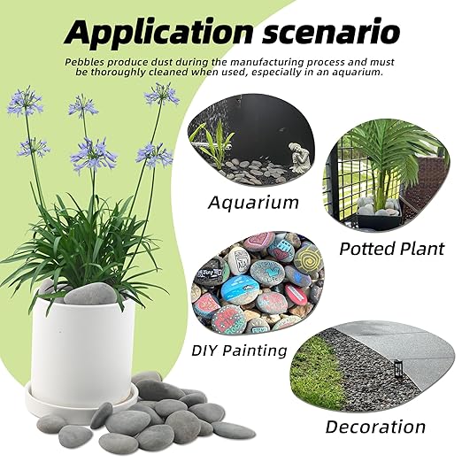 2.4LB River Rocks,Mexican Beach Pebbles for Plants,Potting,Garden Landscape Stone Paving Stone Grey 1Inch - 2Inch (Pack of 2)