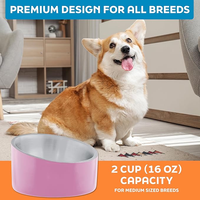 Master Pet Supply Stainless Steel Slanted Dog Cat Food Bowl - 16 oz Heavy Duty - Hyper Pink, Double Wall Insulated, Non-Slip Elevated Bowl for French Bulldogs Pugs Cats, Anti Rust Dishwasher Safe