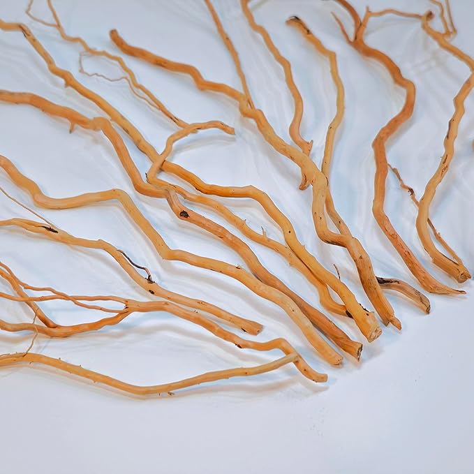 Azil Natural Aquarium Driftwood Root – Driftwood for Aquarium Decor, 250g ≈ 0.551 lb (10″–15''), Fish Tanks, Terrariums, Aquascaping & Planted Tanks