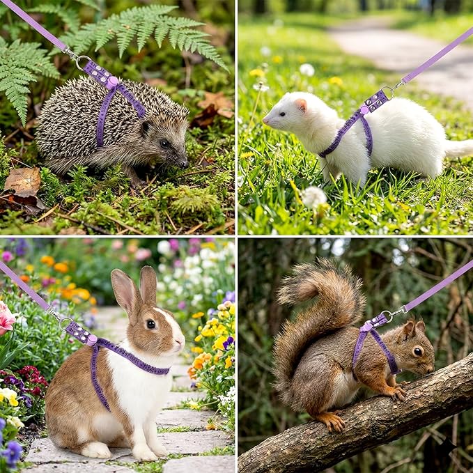 Ferret Harness and Leash Set, Adjustable Guinea Pig Small Pet Animals Comfort Vest Soft No Pulling Walking Clothes for Baby Rabbit Bunny Teacup Mouse Rats Hamster Kitten Puppy Chinchilla
