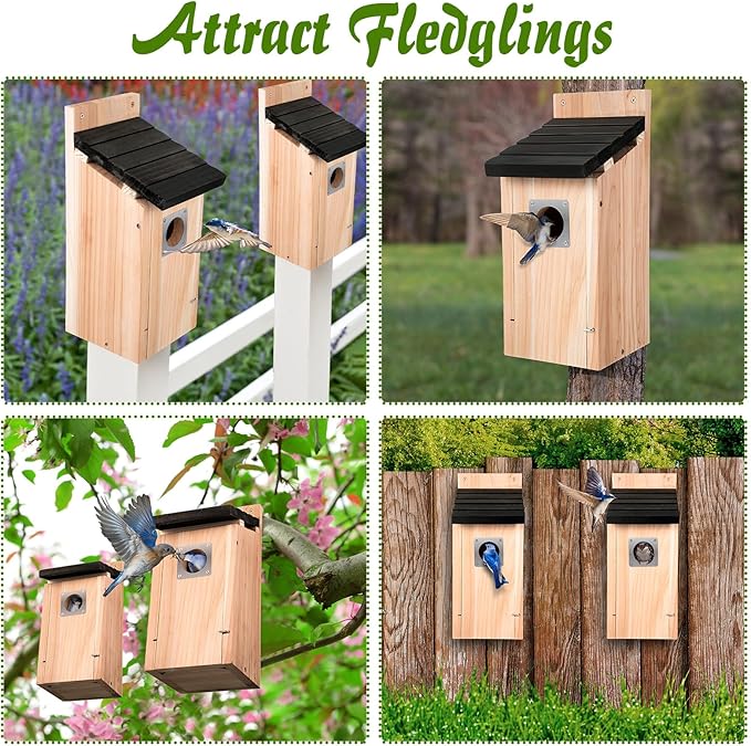 Dreyoo Cedar Bluebird Box Houses for Outside, 1-1/2'' Entrance Hole Wooden Bird Houses with Metal Guard, Secure Latch, Fledgling Grooves, Air Vents for Bluebird Wren Swallow(2 Pack)