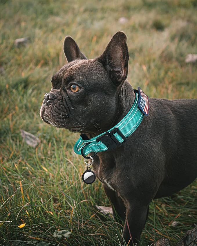 AUBELL Reflective Tactical Dog Collar,Adjustable Military Heavy Duty K9 Collars with Handle and Quick Release Metal Buckle Great for Extra Large Dogs, with Airtag Case and 2 Patches (Teal,XL)
