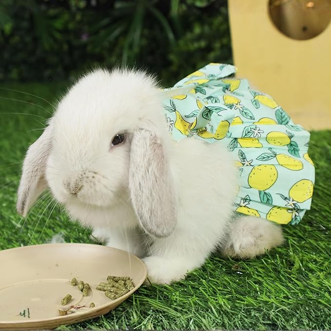 SMOLKITH Rabbit Clothes - Bunny Adjustable Summer Lemon Print Dress with Leash, Small Animal Apparel for Walking - Fits Meerkats, Chinchillas, Guinea Pigs, Marmots and More
