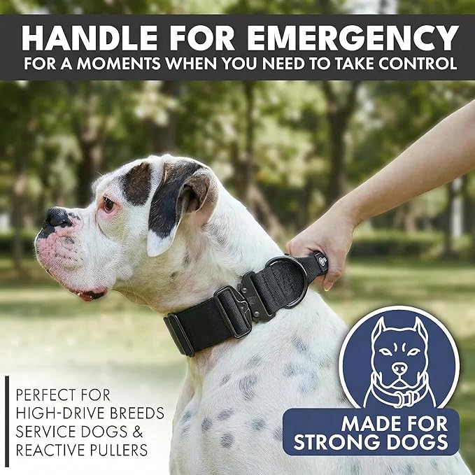 Spark Paws Tactical Dog Collar - Heavy Duty, Premium Quality, Thick and Durable for Large and Medium Dogs - Black - M