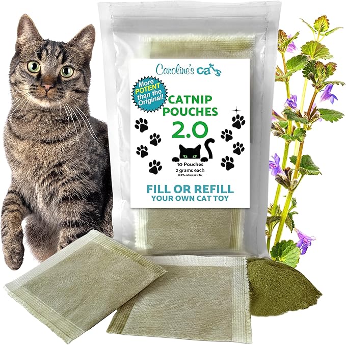 Caroline's Cats Organic Catnip Pouches for Cat Toys – Catnip Packets Refill for Flapping Bird and Catnip Toys; Catnip Tea Bags 10 Packets (Catnip Powder)