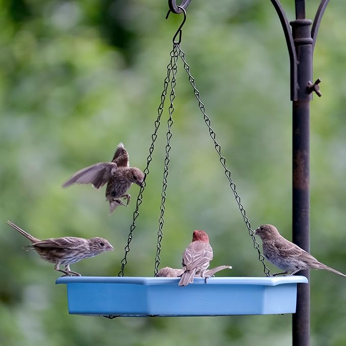 Combo Café 2-in-1 Recycled Plastic Bird Feeder and Bird Bath for Wild Birds and Outdoor Décor, Hanging Bird Bath and Tray Feeder with Chains Included, 1.5 Quart Capacity, Blue