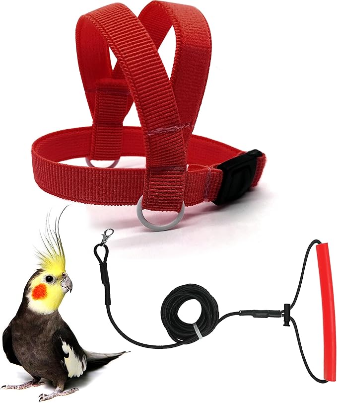 VANFAVORI Bird Harness with Buckle Clip and A Leash, Easy to Wear Training Kit for Bird Parrots Cockatiel S Size Weight 85-105 Grams,Red