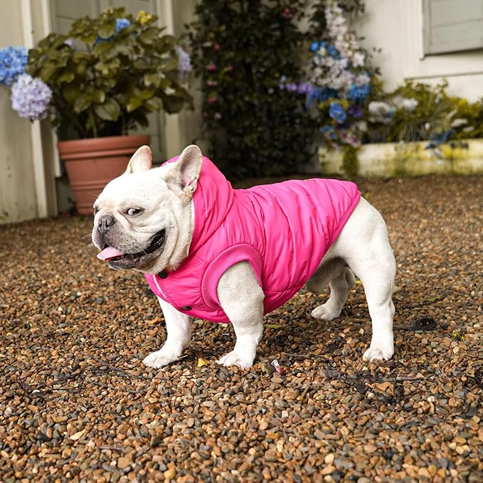 Vecomfy Fleece Lining Extra Warm Dog Hoodie in Winter for Medium Dogs Jacket Pet Coats with Hooded Pink L