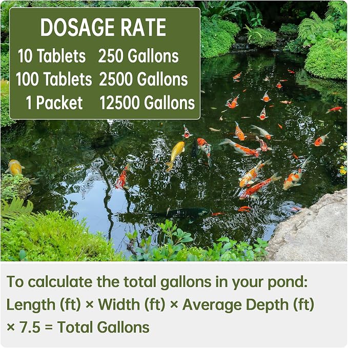 LMJP Muck Reducer for Ponds, Sludge Solution, Away Muck & Odor Control, 1LB | Koi Pond Cleaning, Natural Beneficial Bacteria & Enzymes, Safe for Fish, Wildlife & Recreation, Treats Up To 6,000 Sq Ft