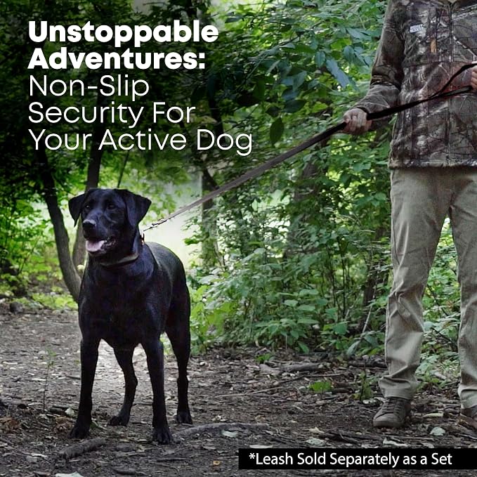 Regal Dog Products Large Black Waterproof Dog Collar and Leash Set | Heavy Duty Double Buckle & D Ring - 5'ft Leash | Adjustable Biothane Dog Collar | Chew Resistant Waterproof Collar for Dogs
