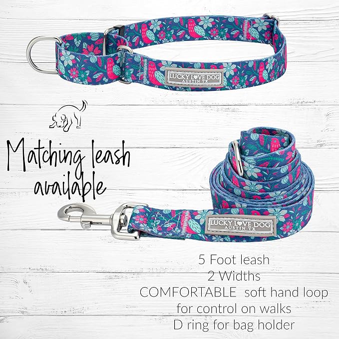 Lucky Love Dog Martingale Dog Collar - Adjustable, No-Slip, Comfortable, Durable, Soft Webbing & Stylish Patterned Collar for Male and Female Dogs Ideal for Training & Walking - Carriebelle, Small