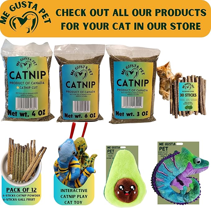 12 Pack Silvervine Sticks Cat Toy, Natural Chew Stick for Dental Care Teeth Cleaning,Matatabi Cat nip Treat Toys for Indoor Cats & Kittens Catmint Silvervine Blend Sticks