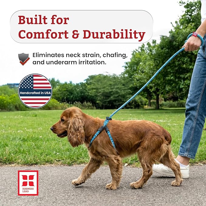 Harness Lead No Pull Dog Harness and Leash Set, Anti Pull Dog Harness, One-Piece Cushioned Rope Safely Prevents Escaping and Pulling (Small/Medium, Peacock/Blue/Lime)
