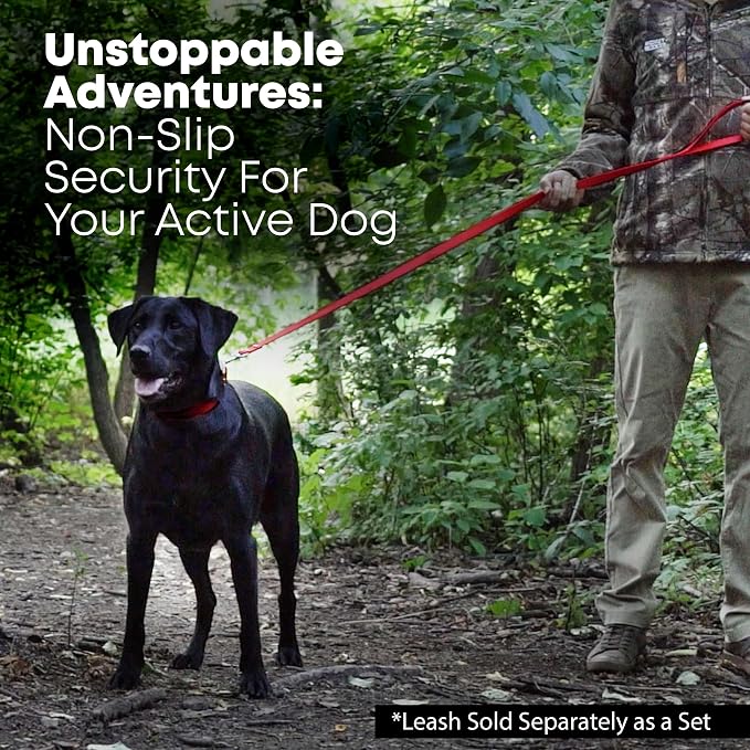 Regal Dog Products Large Red Waterproof Dog Collar and Leash Set | Heavy Duty Double Buckle & D Ring - 5'ft Leash | Adjustable Biothane Dog Collar | Chew Resistant Waterproof Collar for Dogs