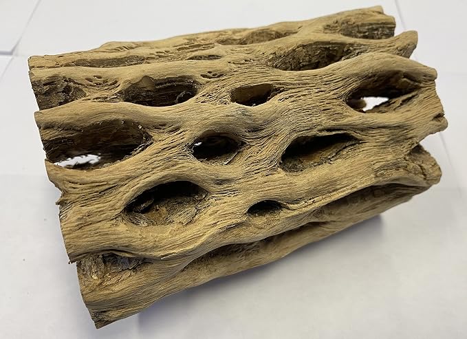 Awesome Aquatic 6 in x 2-3” Thick XL Teddy Bear/Chain Fruit/Buckhorn/Staghorn Cholla Wood Hollow Tube Wood Cactus Skeleton Tubes Thick/Diameter (6 in x 2-3 in Diameter) | XL Hideouts • Hollow tubes • Natural biofilm surface • Secure hideouts • Shrimp p...