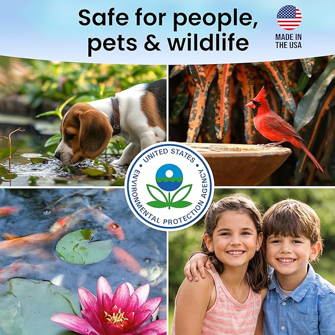MICROBE-LIFT BMC Biological Mosquito Control, Liquid Treatment for Medium-Sized Decorative Water Gardens Up to 2,000 Gallons, Fountains and Ponds, 2 Fluid Ounces