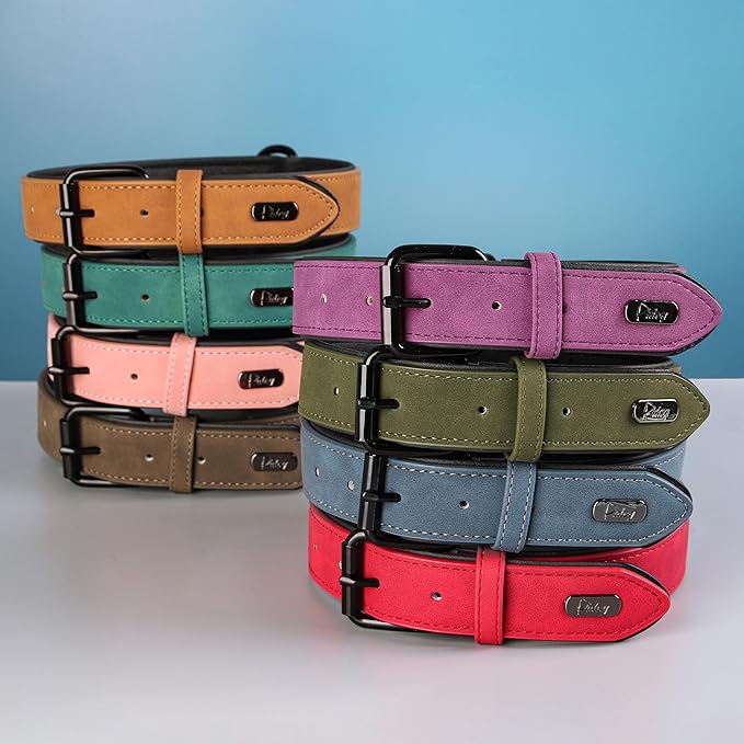 Didog Soft Padded PU Leather Dog Collar, Breathable and Adjustable Dog Collars for Small Dogs, Comfortable for Daily Walk, Blue, M Fit Neck 11-14"(10-20 lbs)
