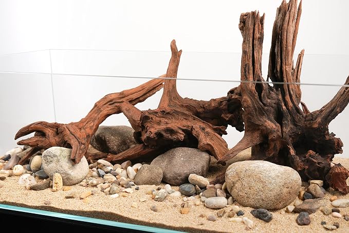 Panna Driftwood Natural Aquarium Wood 4pcs 12-16in Reptile Decor | Branchy shapes; planted and reptile terrarium