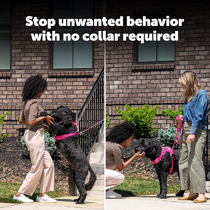 PetSafe Collarless Trainer Ultrasonic Bark Deterrent Handheld Anti Bark Device High-pitched Sound, Flashing Light and Variable Tone Rechargeable Battery Flashlight Wrist Strap