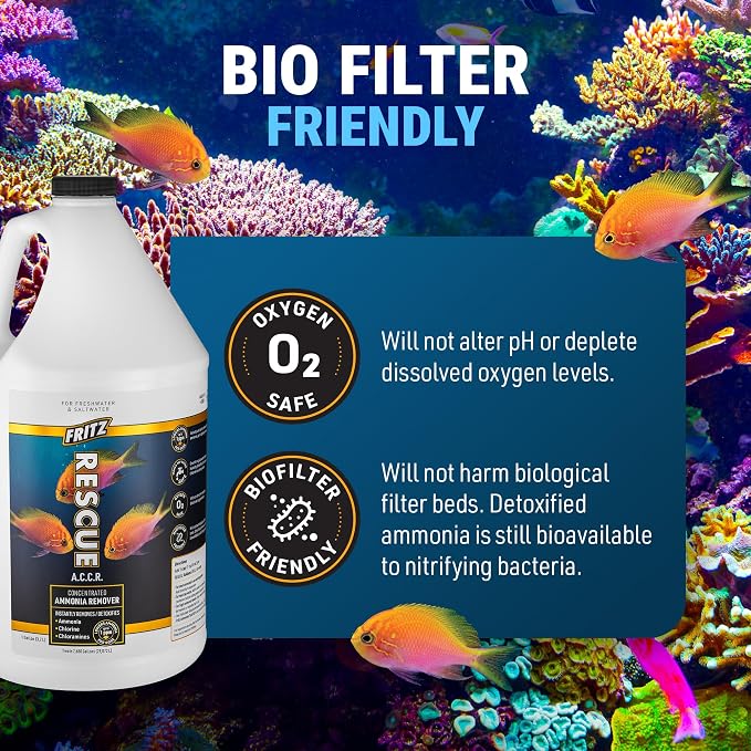 Fritz Aquatics ACCR Water Conditioner Instantly Removes Toxic Ammonia/Chlorine & Chloramines for Fresh & Salt Water Aquariums (1-Gallon)