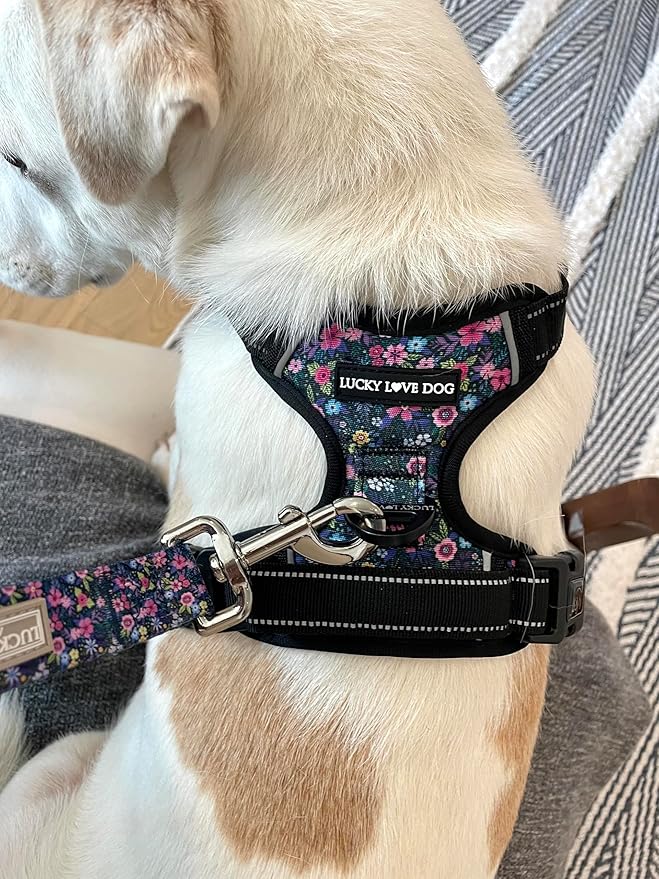Lucky Love Dog No Pull Dog Harness, Adjustable and Easy to Walk, Cute Patterned Harness for SmallMale & Female Dogs - Primrose, Small