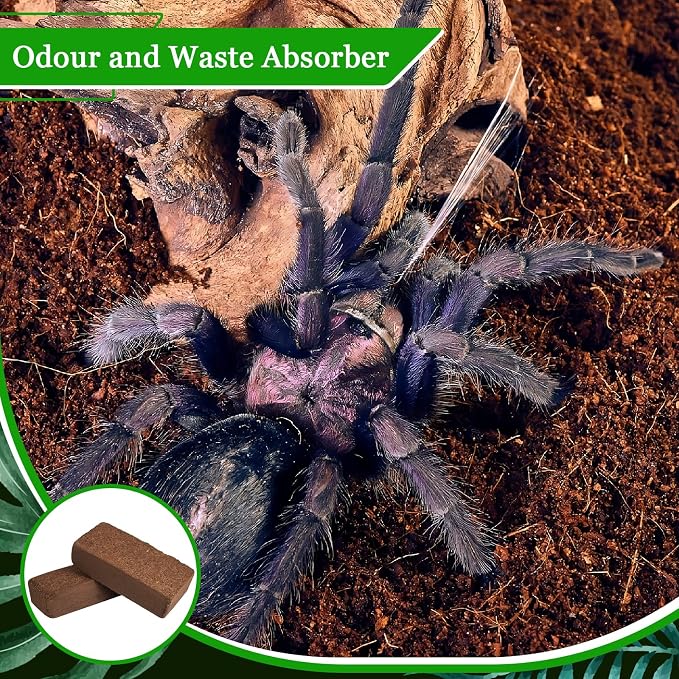 Riare 6 Pack Natural Coconut Fiber Substrate, Coco Coir Reptile Bedding | Coconut Husk Reptile Substrate for Tortoises, Hermit Crabs, Snakes, Bearded Dragon, Geckos, Reptile Enclosure/Terrarium Setup