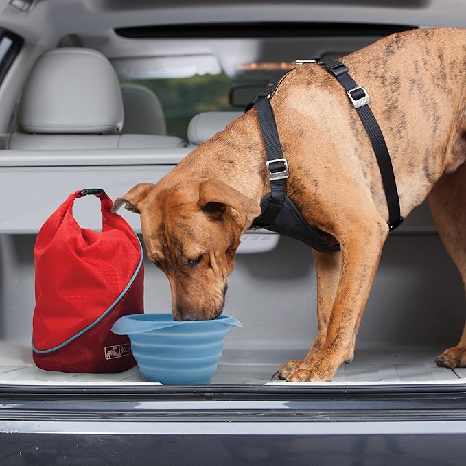 Kurgo Kibble Carrier - Portable Kibble Carrier - Compact Travel Storage - Dog Food Dry Bag - Camping Dog Storage - 5 lb Capacity - Chili Red