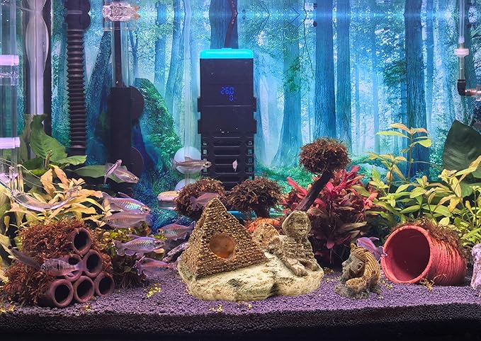 M2cbridge Aquarium Decor Castle Shipwreck Ornament Underwater Landscape(Egyptian Pyramid + Pharaoh)