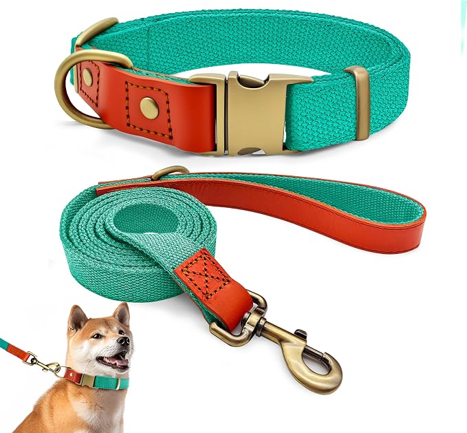 Dog Collar and Leash Set with Metal Quick Release Buckle, Adjustable, Breathable Nylon, Durable, Soft and Comfortable, No Pull for Walking and Training, Cyan, L (14.9"-22.8")
