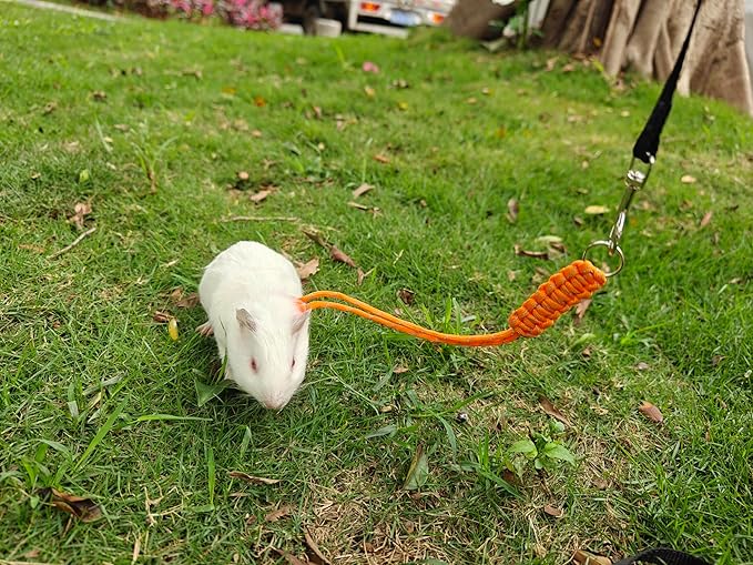 GOMICRAFT Handmade Figure 8 Harness and Leash for Rabbits/Bunnies/Ferrets/Bearded Dragons/Guinea Pigs/Rats/Chinchillas/Birds/Squirrels/Small Animals.Pack of 2