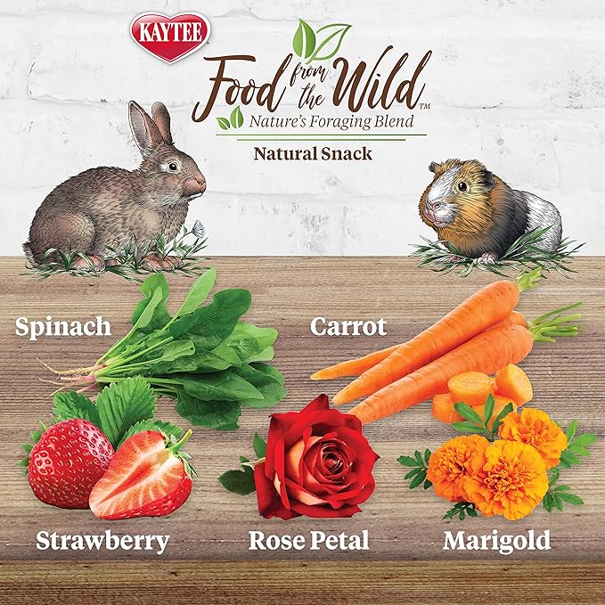 Kaytee Food from The Wild Natural Snack for Pet Rabbits, Guinea Pigs and Other Small Animals, 1 Ounce (Pack of 2)