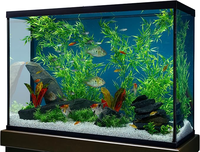 Marineland Bamboo 3 Feet, Décor For Aquariums and Terrariums