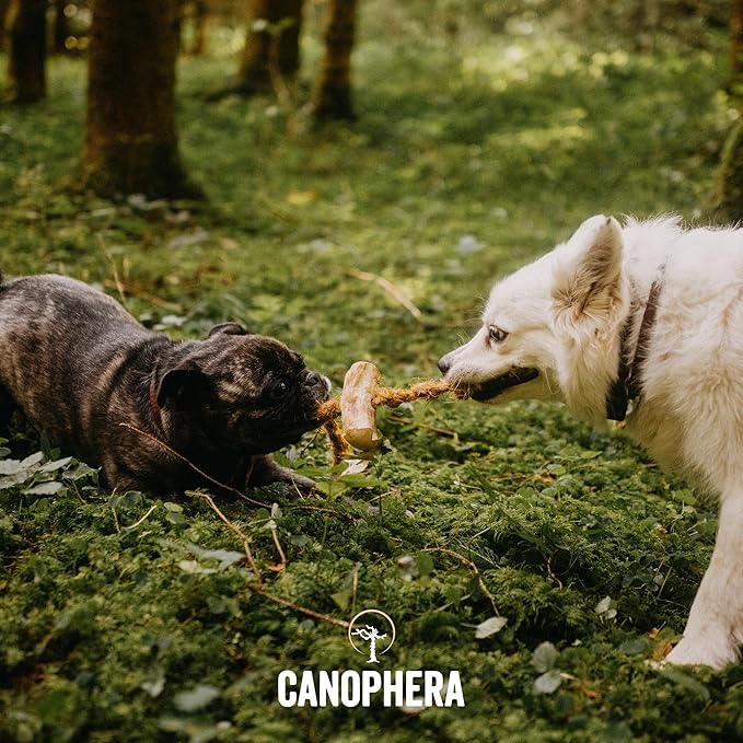 Canophera Dog CHEW Made of Coffee Wood and Coconut Rope (Medium)