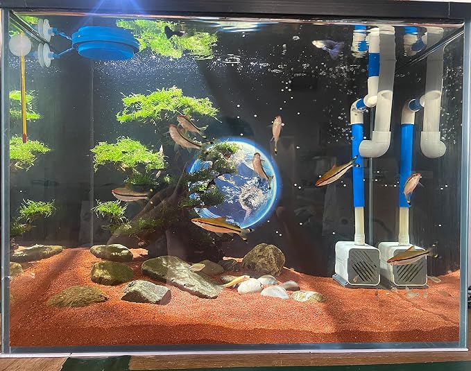 AWXZOM 11lb Natural South American Rainforest Sand, Aquarium red Sand, Lava Rock Soil, Red Lava Rock Sand, Succulent Sand Fish Tank Sand Aquarium Substrate Sand