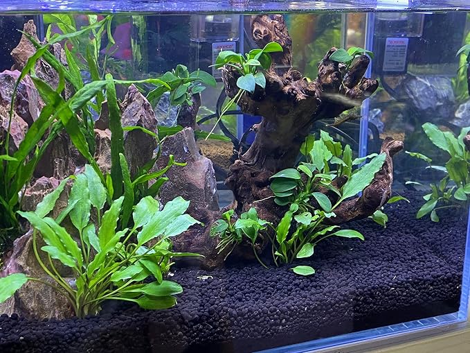 Thriva Aqua Soil Aquarium Substrate Black 20L Planted Tank Shrimp | Four 5L bags; planted, aquascaping and shrimp