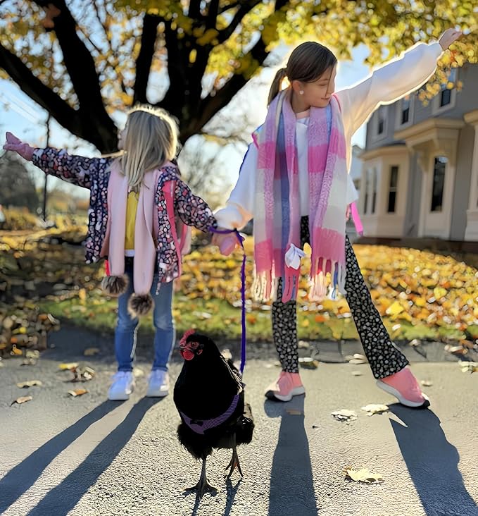 3 Pack Chicken Harness and Leash Set Adjustable Hen Vest with Matching Belt Breathable Mesh Training Harness Pets Leash for Hens Duck Goose Small Pet-Green&Purple&Blue,S