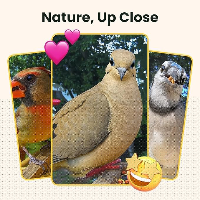 Birdfy Smart Bird Feeder with Camera Solar Powered, Slow-Motion Video & Night Insight, AI Identify 6000+ Species Lifetime Free, Ideal for Outdoors Bird Watching & Gifts for BirdLovers, Wood