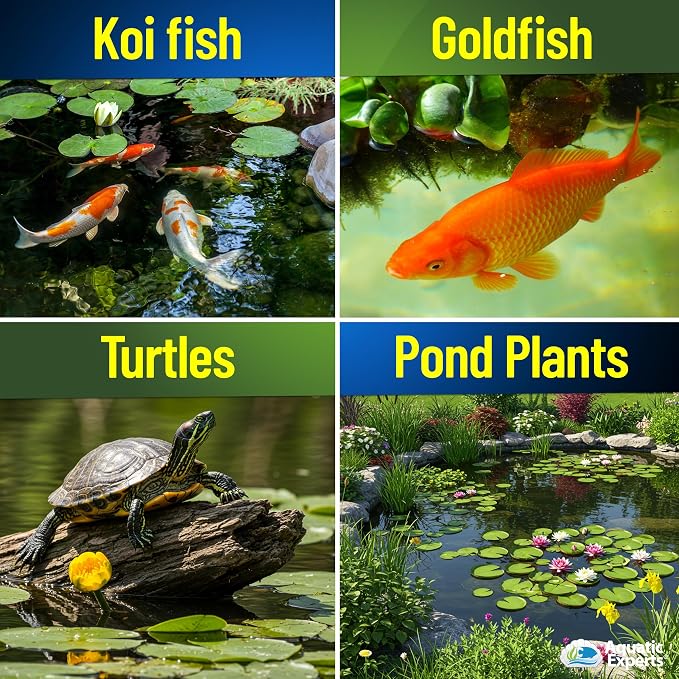 PondFirst Pond Water Conditioner - Concentrated Instant Dechlorinator for Fish Ponds, Makes Water Safe for Koi and Goldfish, Made in The USA, Aquatic Experts (Liquid - 2 Liters)