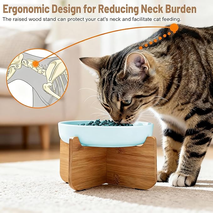 Shallow Elevated Cat Bowls with Bamboo Stand, 6.1 Inch Wide Ceramic Cat Dish Whisker Friendly, 2 Pack Pet Food and Water Plates