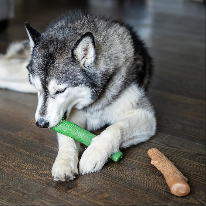Pupstages by Petstages Dogwood Breath Dog Chew Toy – Real-Wood Blend, Moderate Chewers, Large, 8", 2-Pack (Natural & Mint Flavors)