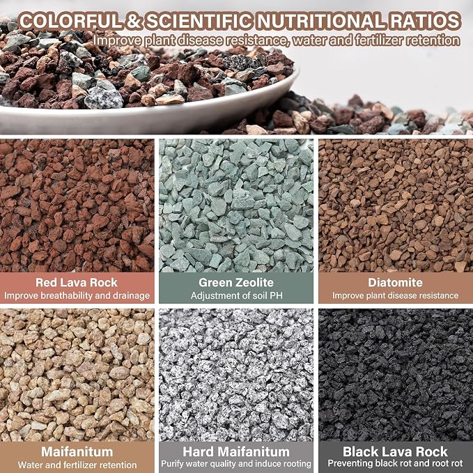 NUPICK 20lb Mix Horticultural Lava Rocks for Plants, 3/8" Gravel for Cactus | Colorful Succulent Potting Soil Amendments, Decorative Bonsai Gritty Rock, Pumice for Plants, Vase Fillers, Top Dressing