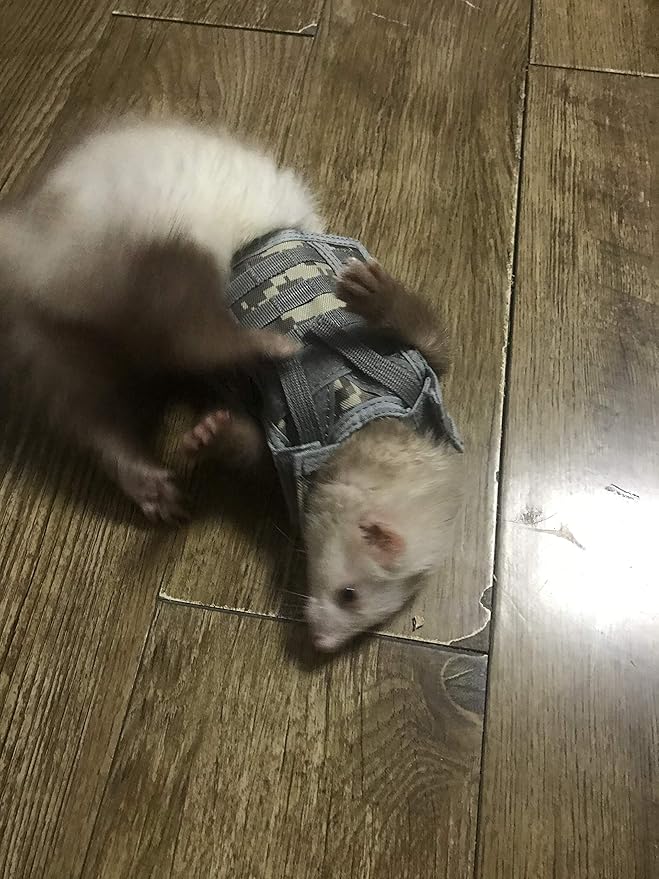 Ferret Clothes Small Animals Harness Military Style Adjustable Shoulder Straps Soft Mesh Comfort Durable Nylon Padded Vest Ferret Guinea Pig Hamster Bunny Kitten Puppy Small Pet Clothes Accessory