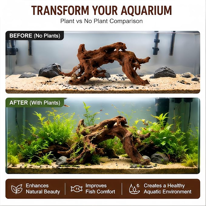 Natural Aquarium Driftwood, 12 to 15 Inch Pieces, 2 Pack, Fish Tank Decor and Aquascaping Wood for Freshwater Aquariums, Reptile Terrarium and Air Plant Display