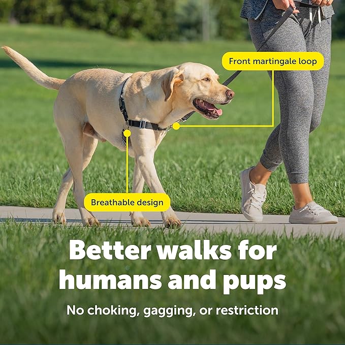 PetSafe Easy Walk No-Pull Dog Harness - The Ultimate Harness to Help Stop Pulling - Take Control & Teach Better Leash Manners - Helps Prevent Pets Pulling on Walks, Medium, Royal Blue/Navy Blue