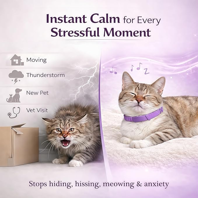 Calming Collar for Cats, Pheromone Infused for Anxiety Relief & Stress, Adjustable & Waterproof, 4 Pack(Pink)